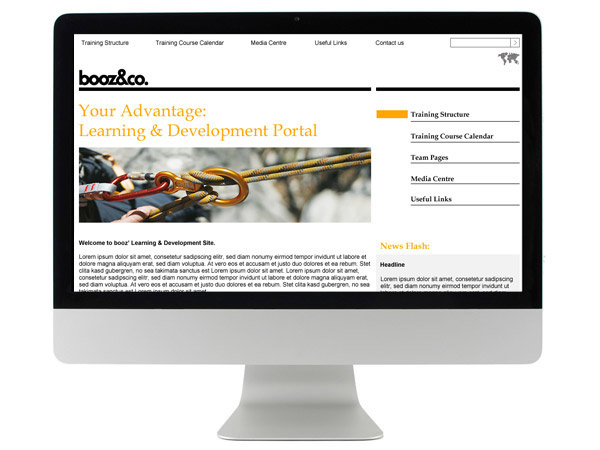 Booz & Co. Portal Screen